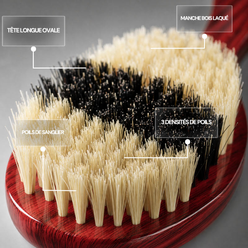 Brosse pour Waves Longue Rouge | Global Brush